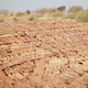 So you wanna be a dinosaur hunter? A wide shot of the southwestern Tanzania locality from which the new dinosaur was excavated. (Image: Eric Roberts)
